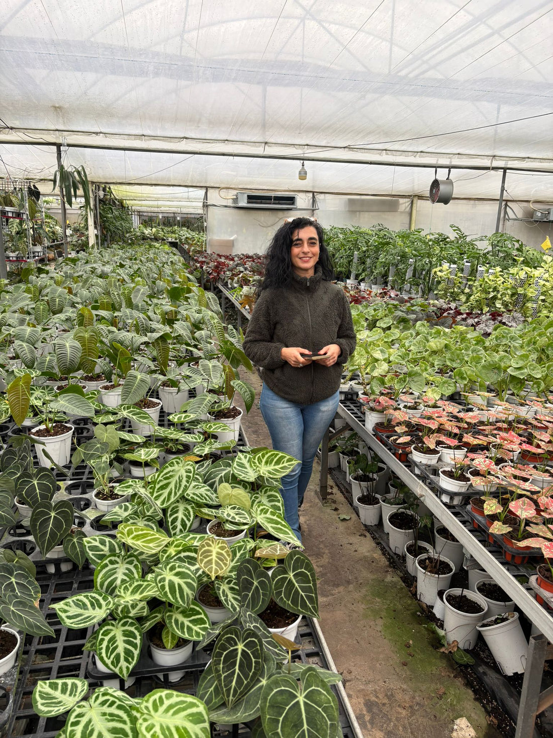 Casa Botanica in China