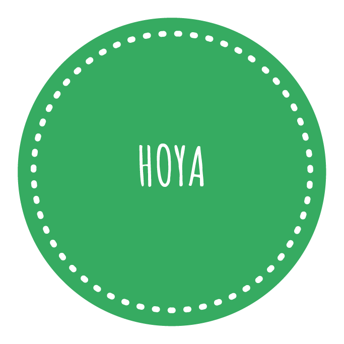 Hoya