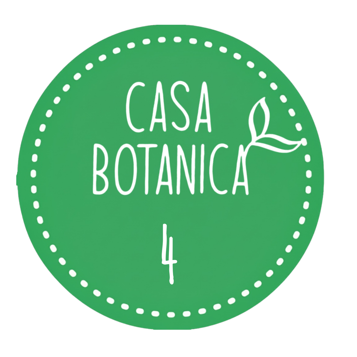 Live sale plant 4 Monstera Blanchetii