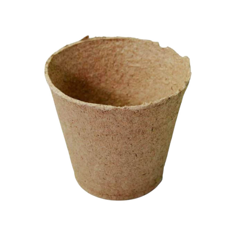 6 cm plant pots Biodegradable seedling pot, 6 cm / 5-pack – Casa Botanica