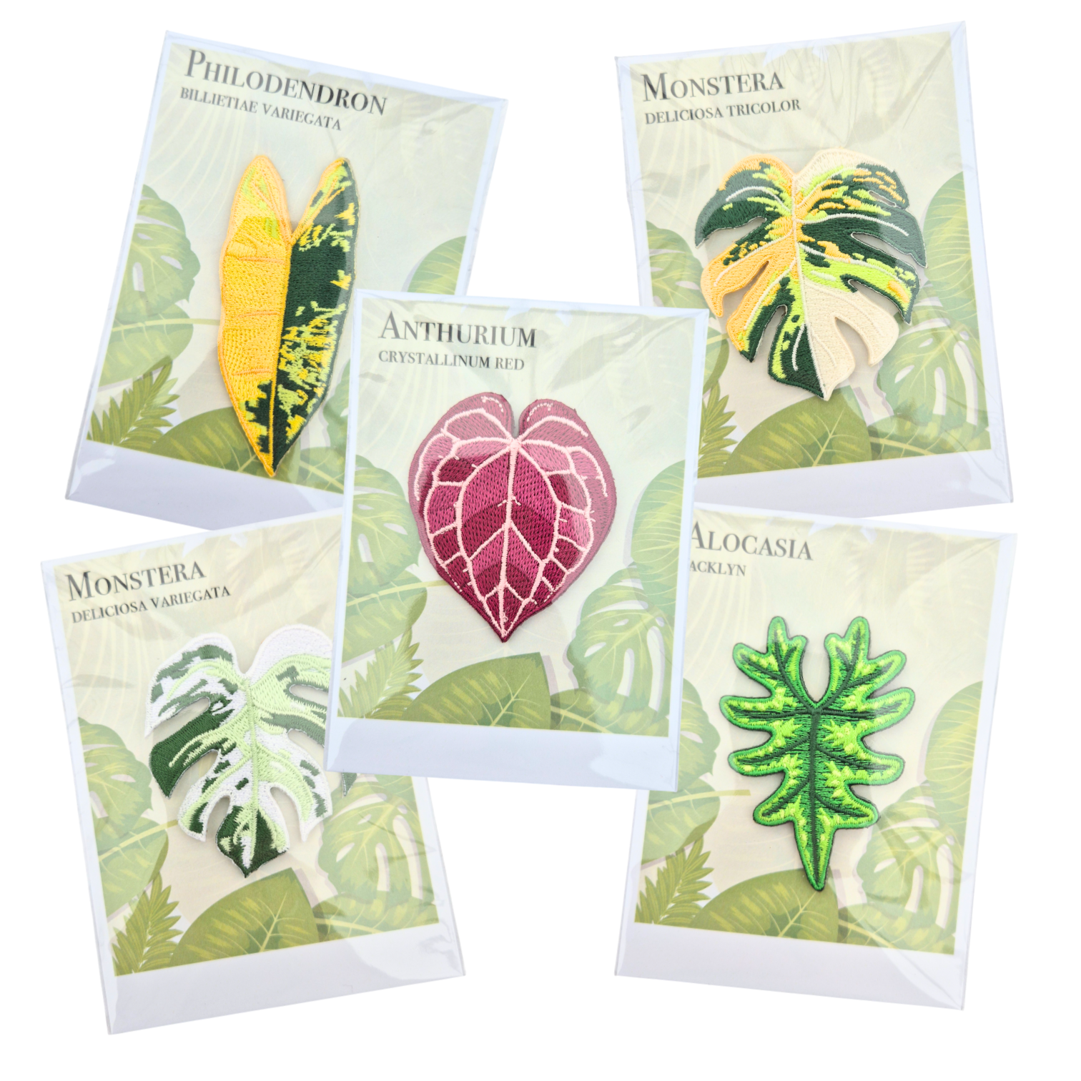 philodendron embroidery Plants Pin Embroidery – Casa Botanica