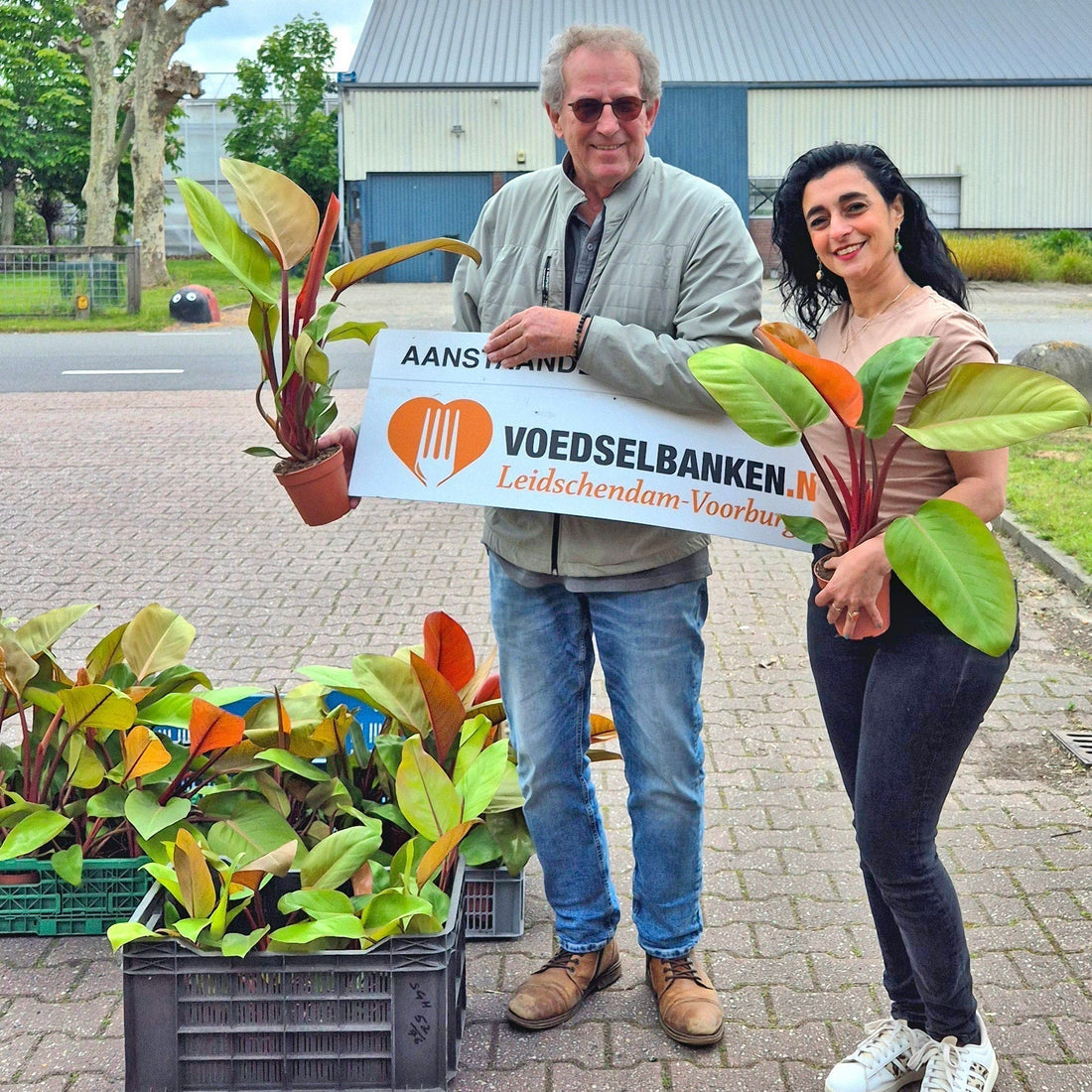 Donatie kamerplanten aan de Voedselbank