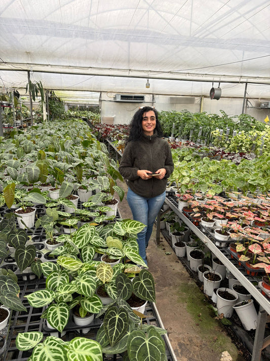 Casa Botanica in China