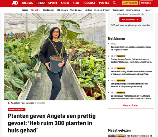 Angela in de krant!