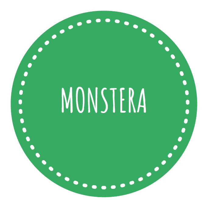 Monstera
