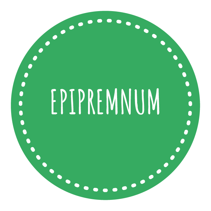 Epipremnum