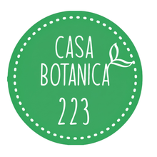 Live Sale Plant 223 Monstera Electro Light