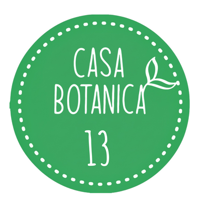 Live-Verkaufspflanze 13