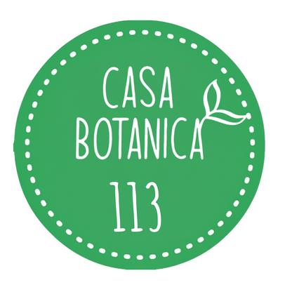 Vente en direct plante 113 Philodendron Whipple Way Marbré
