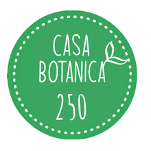 Live Sale Plant 250 Philodendron Billietiae Variegata