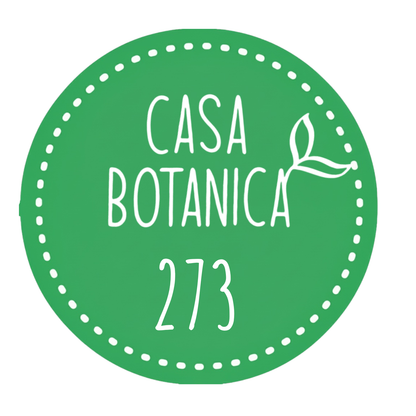 Live Sale Plant 273 Monstera Bulbasaur