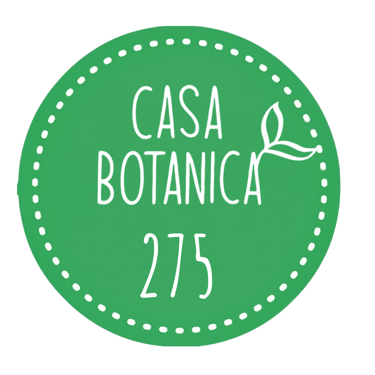 Live Sale Plant 275 Monstera Bulbasaur