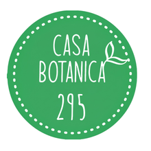 Live Sale Plant 295 Philodendron Kitina