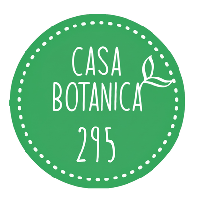 Live Sale Plant 295 Philodendron Kitina