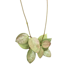 Live Sale Plant 277 Hoya Parasitica Heart Leaf Silver