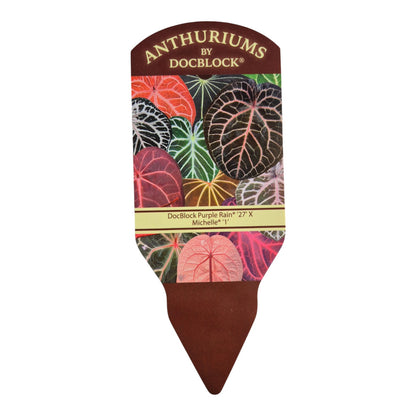 DocBlock Anthurium Zara® '27' X Michelle® '1'