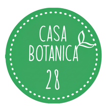 plante de vente vivante 28