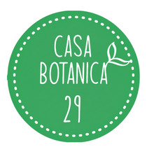 plante de vente vivante 29