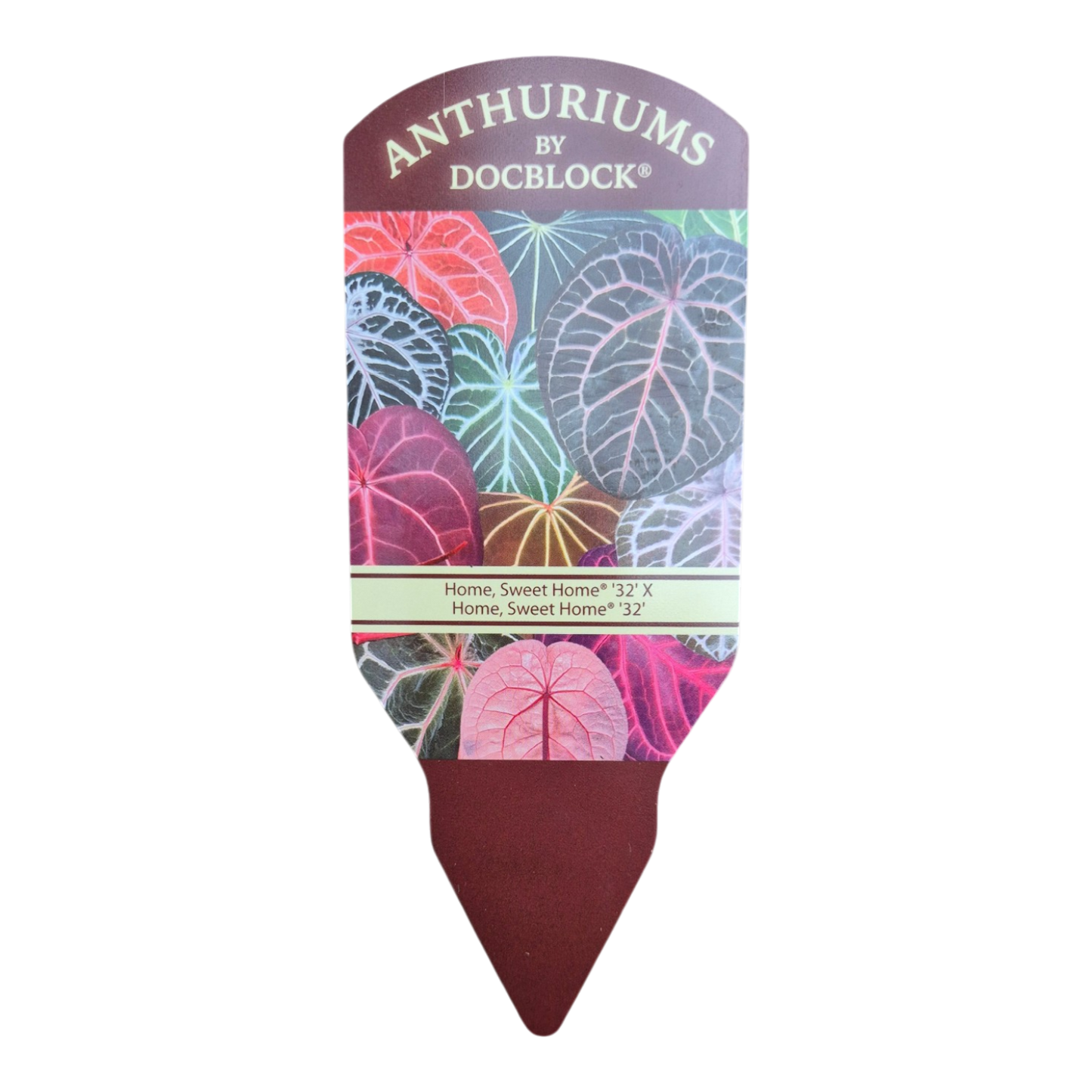 DocBlock Anthurium Home, Sweet Home® '32' X Home, Sweet Home® '32'