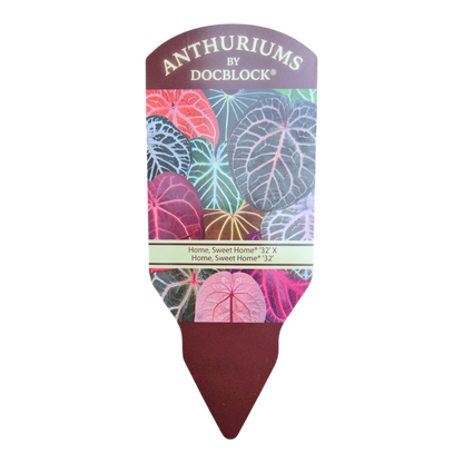 DocBlock Anthurium Home, Sweet Home® '32' X Home, Sweet Home® '32'