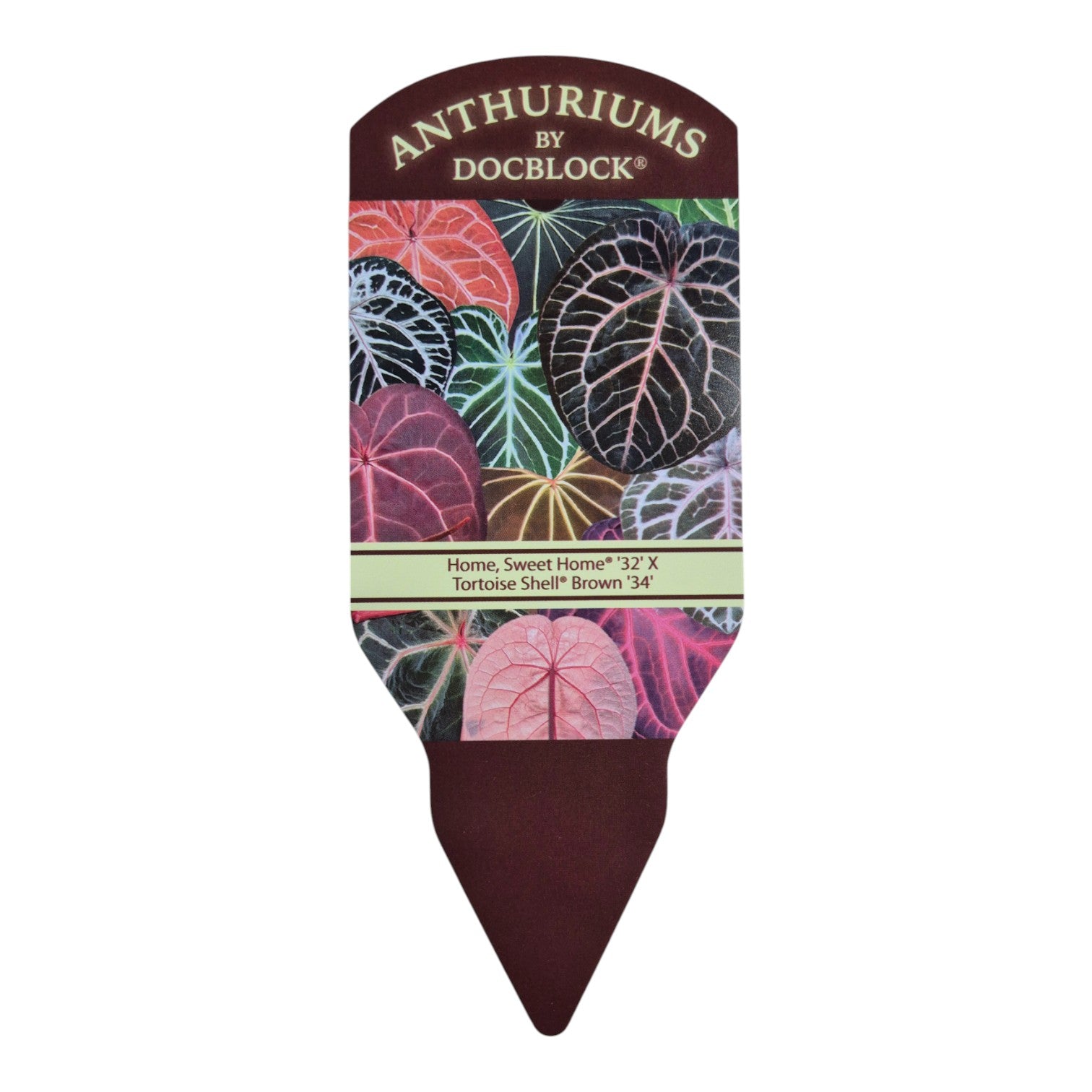 DocBlock Anthurium Home, Sweet Home® '32' X Tortoise Shell Brown