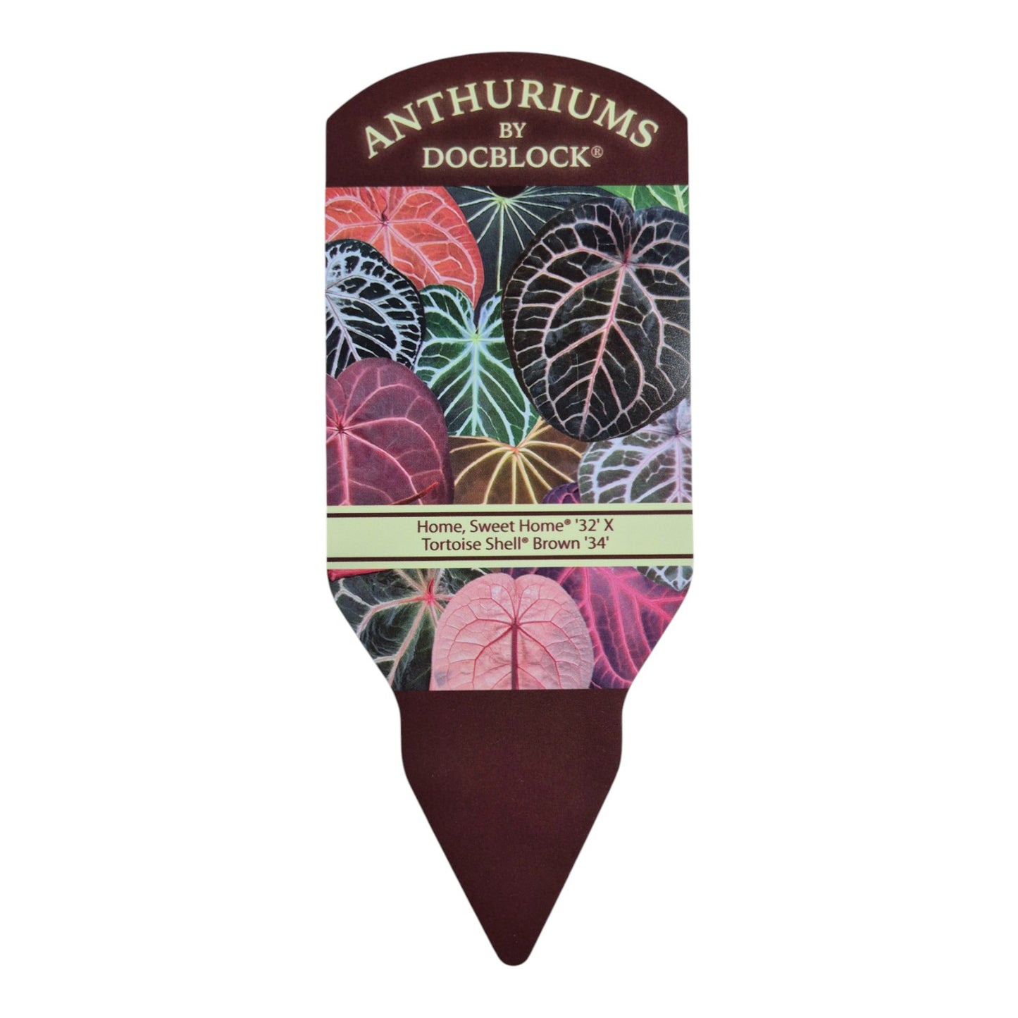 DocBlock Anthurium Home, Sweet Home® '32' X Tortoise Shell Brown® '34'