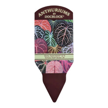 DocBlock Anthurium Home, Sweet Home® '32' X Tortoise Shell® Brown '34' *5