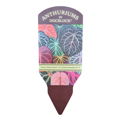 DocBlock Anthurium Home, Sweet Home® '32' X Dark & Handsome® '9'