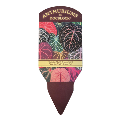 DocBlock Anthurium Tortoise Shell® Brown '34' X Tortoise Shell® Brown '34'