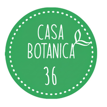 plante de vente vivante 36