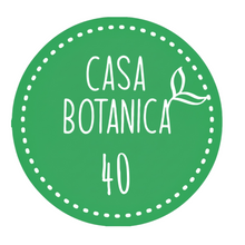 Live-Verkaufspflanze 40