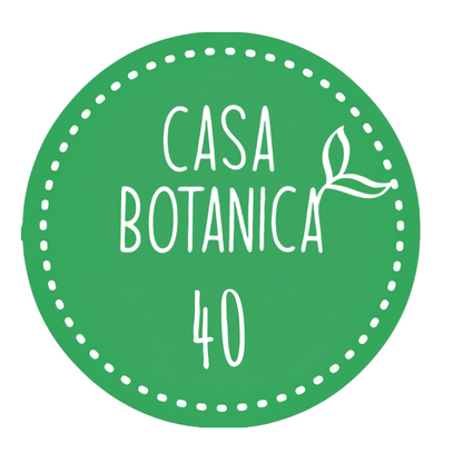 Live-Verkaufspflanze 40