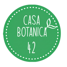 Live-Verkaufspflanze 42