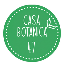 Live-Verkaufspflanze 47