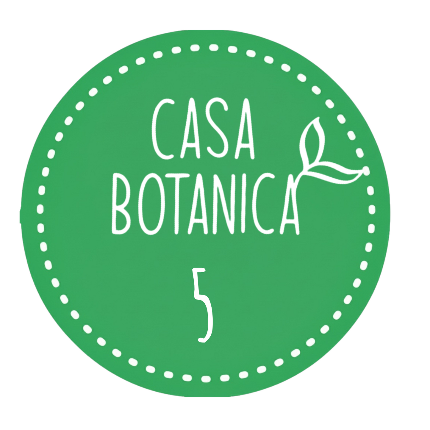 Live sale plant 5 Monstera Bulbasaur
