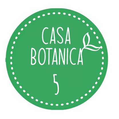 Live sale plant 5 Monstera Bulbasaur