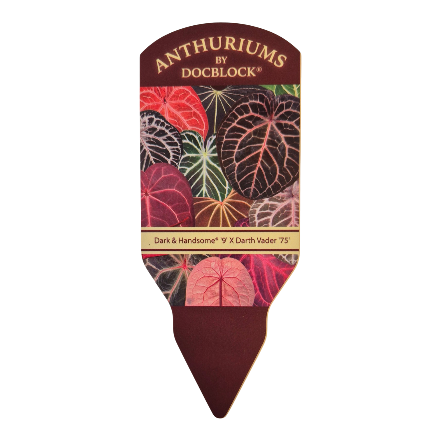 DocBlock 紅掌 Dark & Handsome® '9' × Darth Vader® '75'