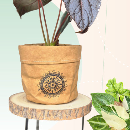 Paper Mandala Plant Pot