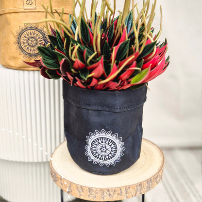 Paper Mandala Plant Pot