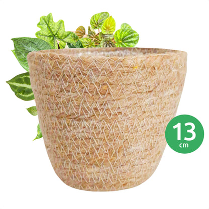 Jute Plant Pot
