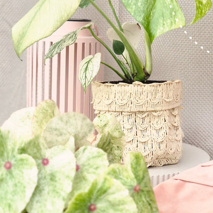 Blumentopf – Aufbewahrungsbehälter – Rattan-Optik – Gewebtes Papier