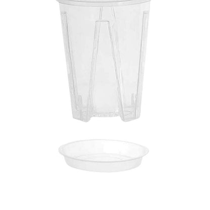 Schale Transparent