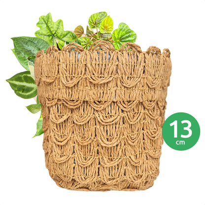 Blumentopf – Aufbewahrungsbehälter – Rattan-Optik – Gewebtes Papier