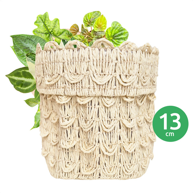 Plant Pot - Storage Container - Rattan Look - Woven Paper