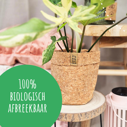 Blumentopf aus Kork