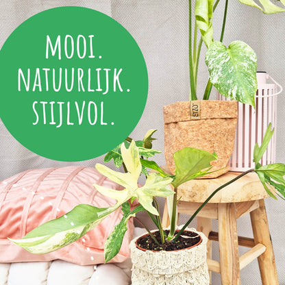 Blumentopf aus Kork