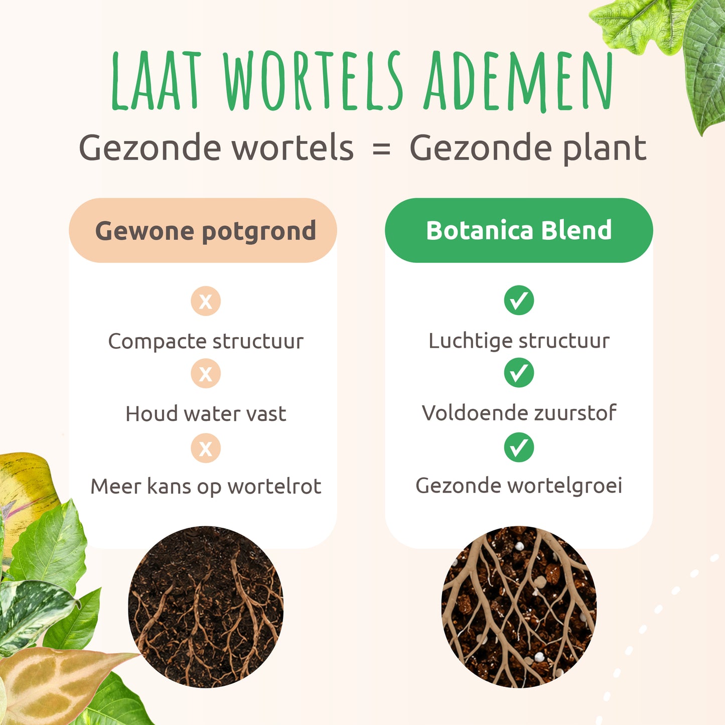 Botanica Blend – Premium Potgrond