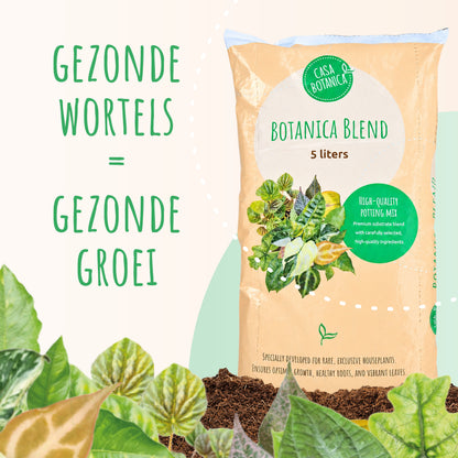 Botanica Blend – Premium Potgrond