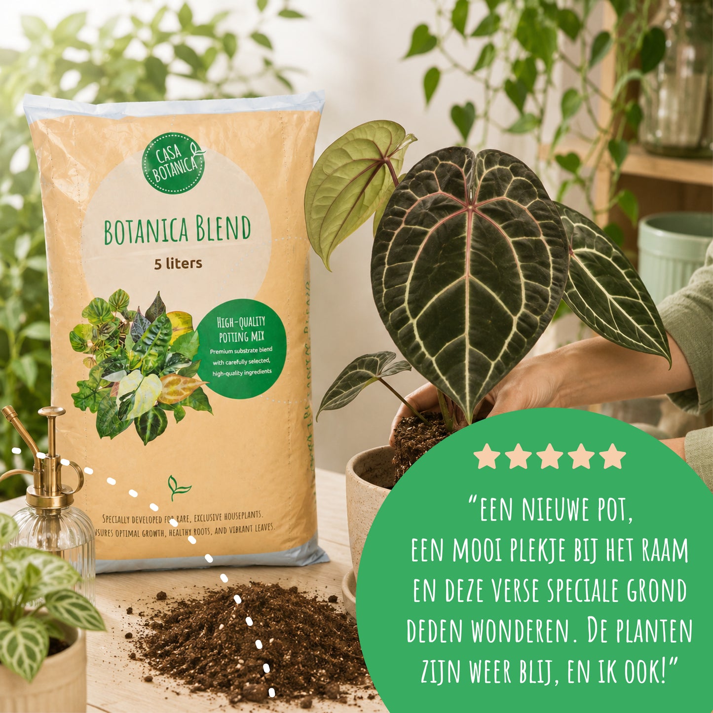 Botanica Blend – Aroid-Mischung