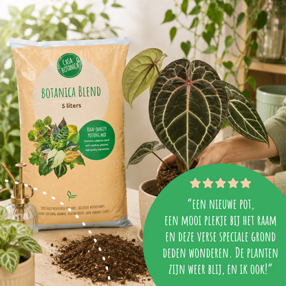 Botanica Blend – Aroid-Mischung
